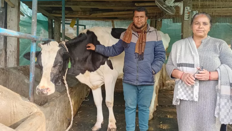 मिल्की वे कार्यक्रम, दुग्ध क्षेत्रको रुपान्तरणका लागि प्रविधि र असल अभ्यास प्रवर्द्धन परियोजना